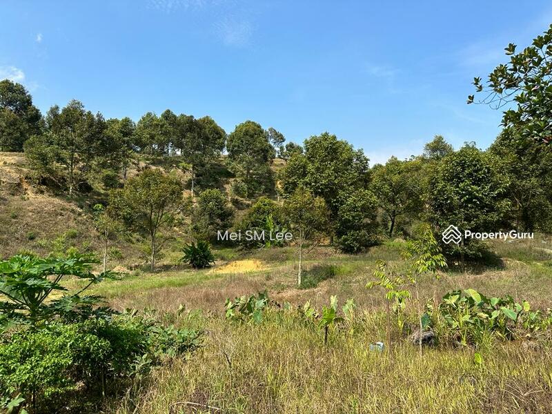 Acacia, Bentong, Pahang