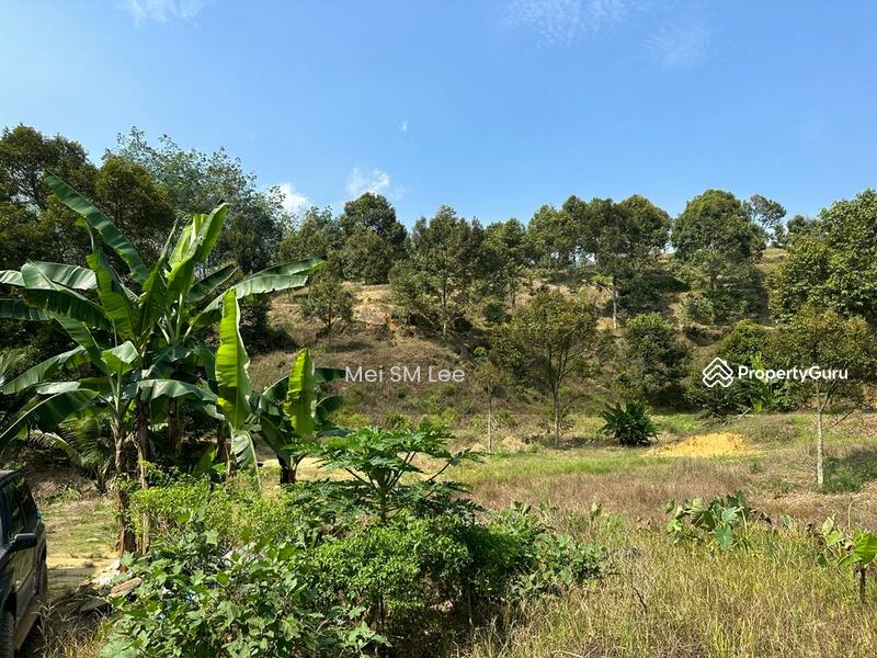 Acacia, Bentong, Pahang