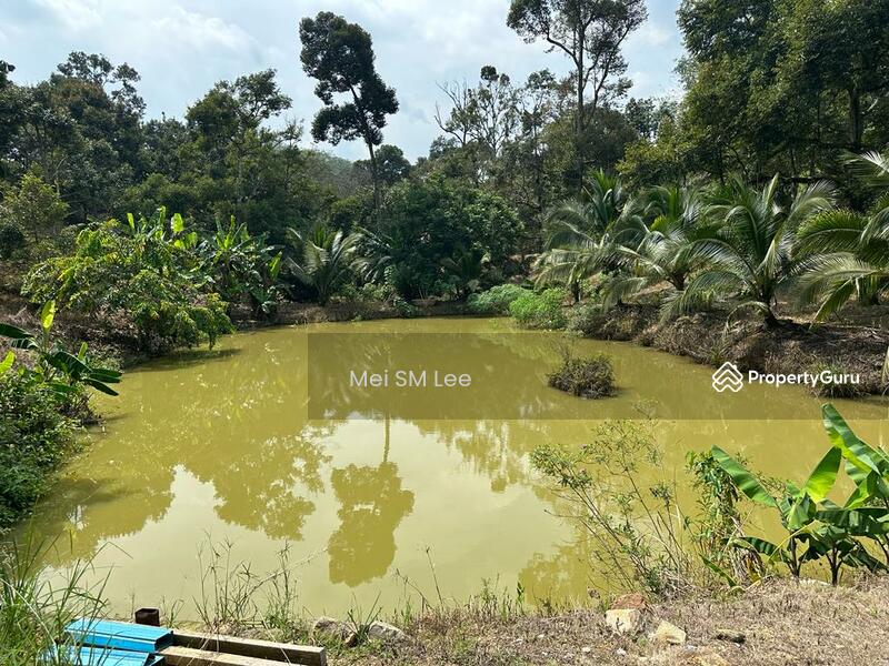 Acacia, Bentong, Pahang