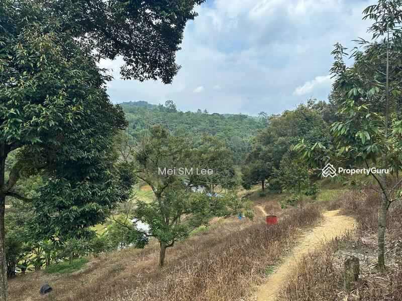 Acacia, Bentong, Pahang
