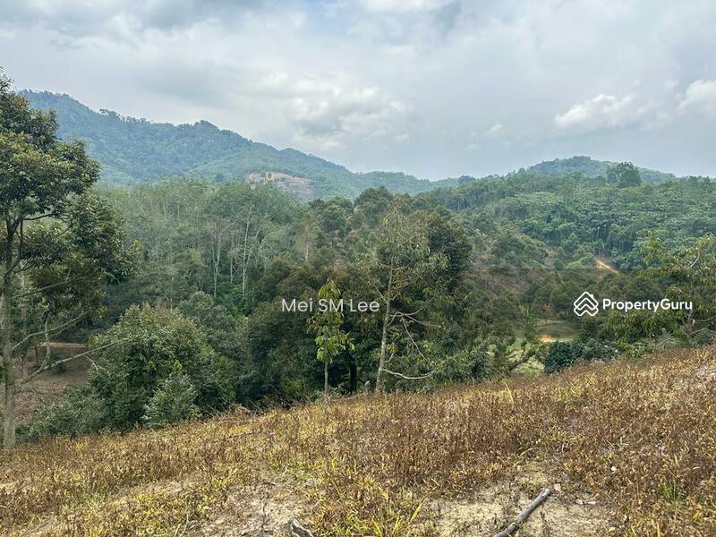 Acacia, Bentong, Pahang