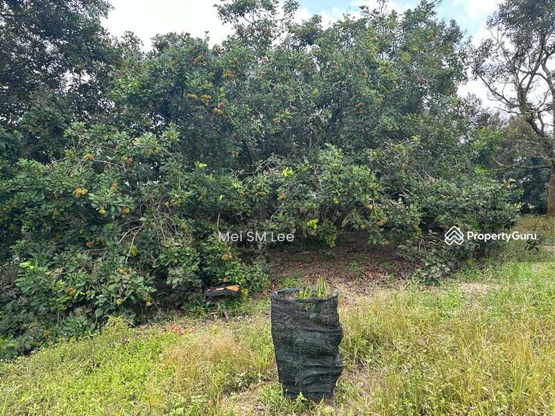Acacia, Bentong, Pahang