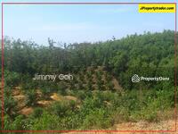 For Sale - Agriculture land at Kerling