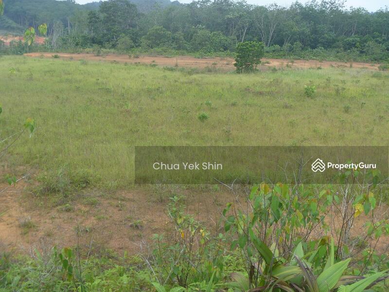 For Sale - Kulai / Senai Agriculture Land, Zoning Industry