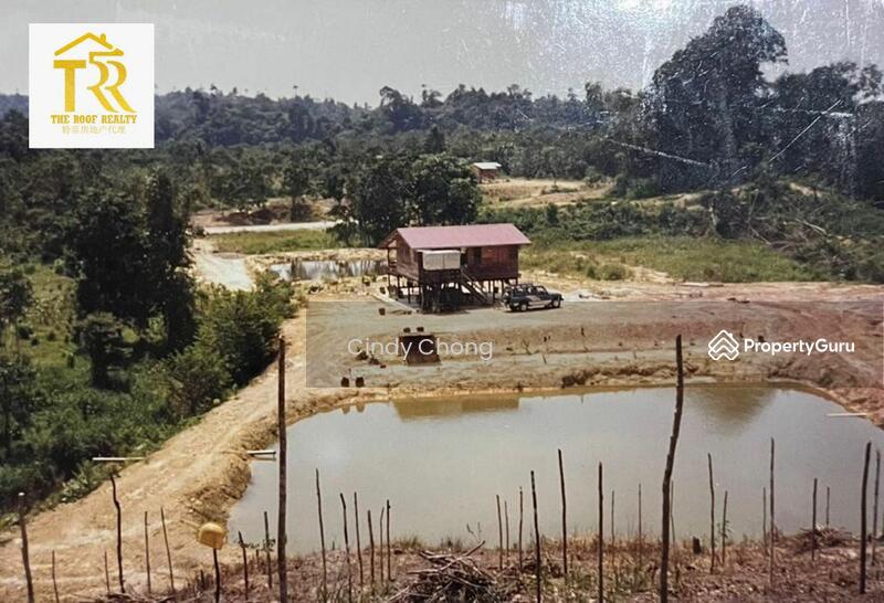 Sibuti Land (Native Land), Sibuti, Miri, Sarawak, Agricultural Lands