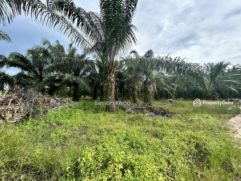 Tanah Pertanian untuk Dijual di Kuala Selangor (Selangor) - Simon Khoo - PropertyGuru.com.my