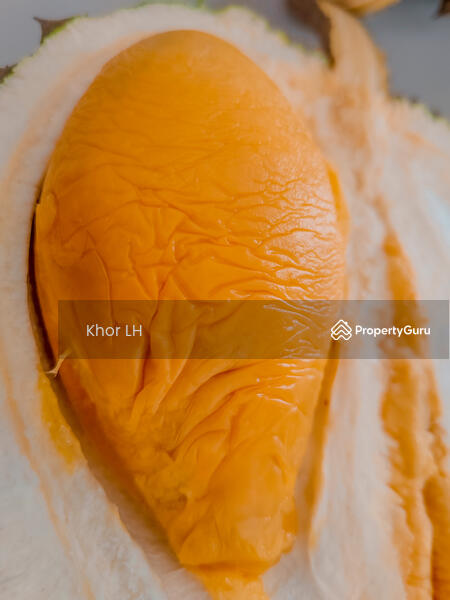 Agricultural Land for Sale in Bukit Mertajam (Penang) - Khor LH - PropertyGuru.com.my