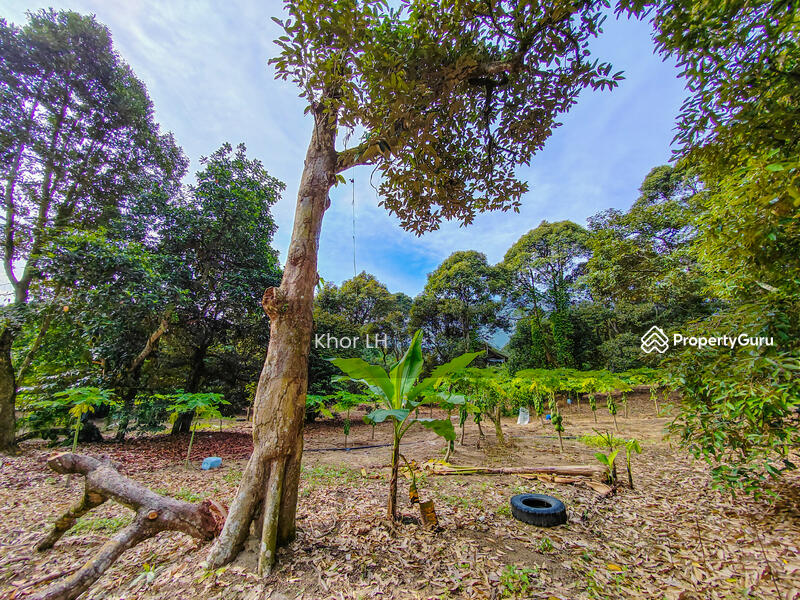 Agricultural Land for Sale in Bukit Mertajam (Penang) - Khor LH - PropertyGuru.com.my