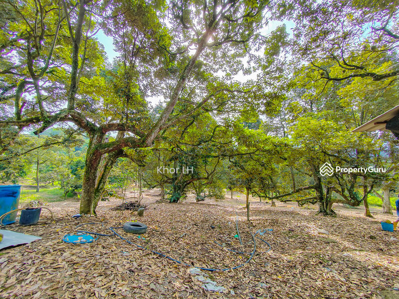 Agricultural Land for Sale in Bukit Mertajam (Penang) - Khor LH - PropertyGuru.com.my