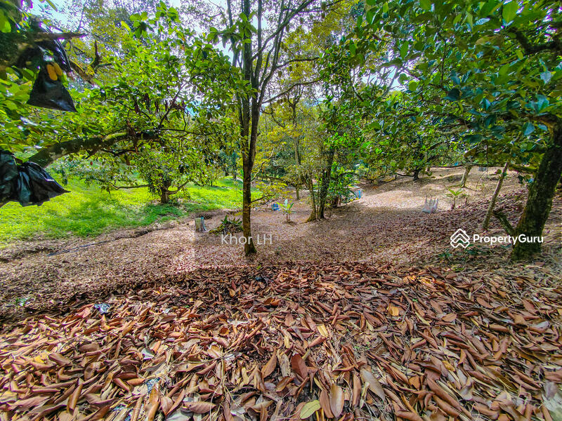 Agricultural Land for Sale in Bukit Mertajam (Penang) - Khor LH - PropertyGuru.com.my
