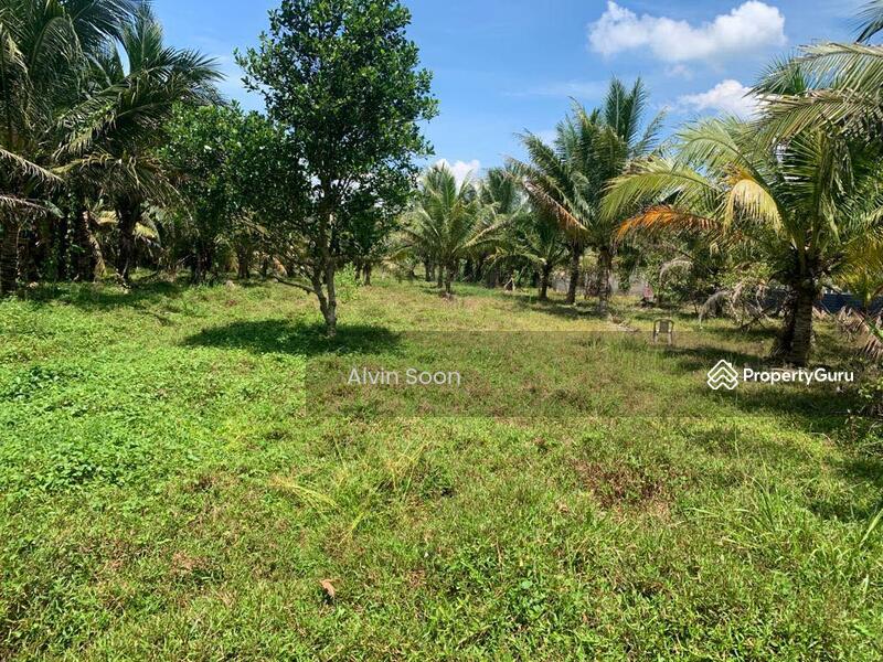 For Sale - Beruas Perak Jalan Siputeh - Batu Hampar