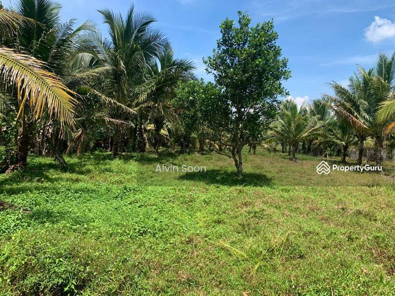 For Sale - Beruas Perak Jalan Siputeh - Batu Hampar