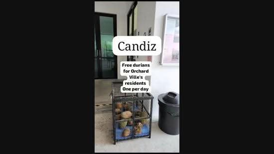 Condominium for Sale at Orchard Ville - Candiz Chong - PropertyGuru.com.my