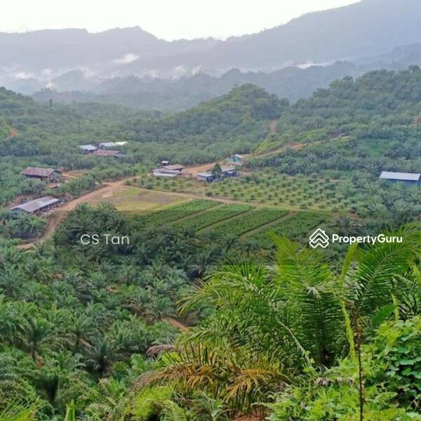 Sarawak Miri Tinjar Baram 6500 acres Palm Oil Land for SALE, Long