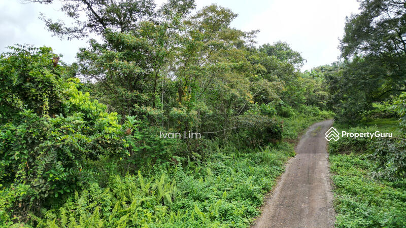 For Sale - Simpang Renggam