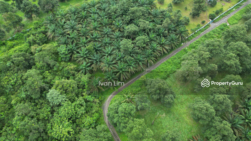 For Sale - Simpang Renggam