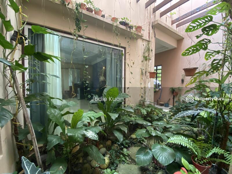 Indoor Garden 