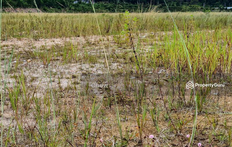 Tanah Kediaman untuk Dijual di Bukit Beruntung (Serendah) - Chew . - PropertyGuru.com.my