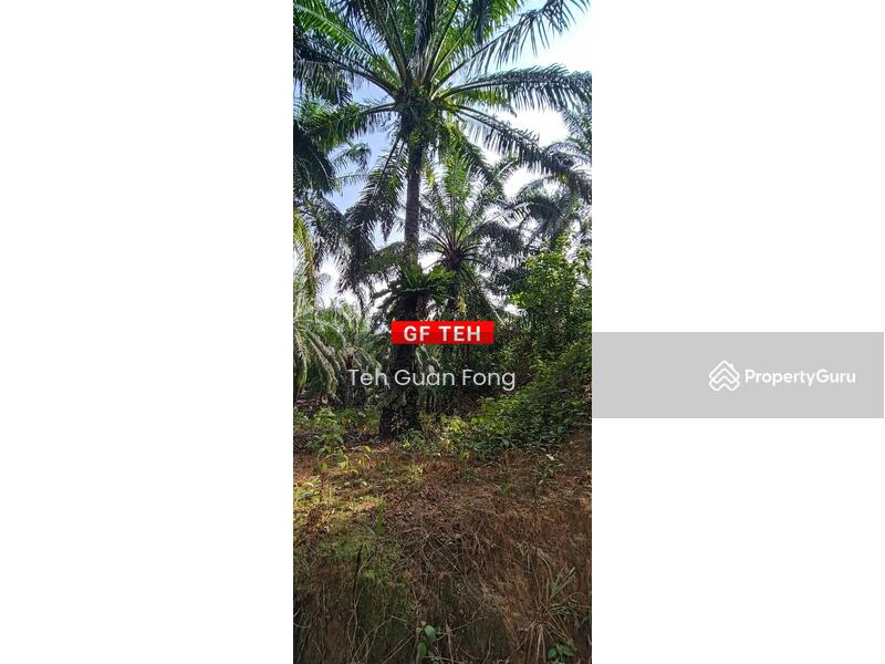 Agriculture land at Kuala Kangsar, Kuala Kangsar, Kuala Kangsar, Perak