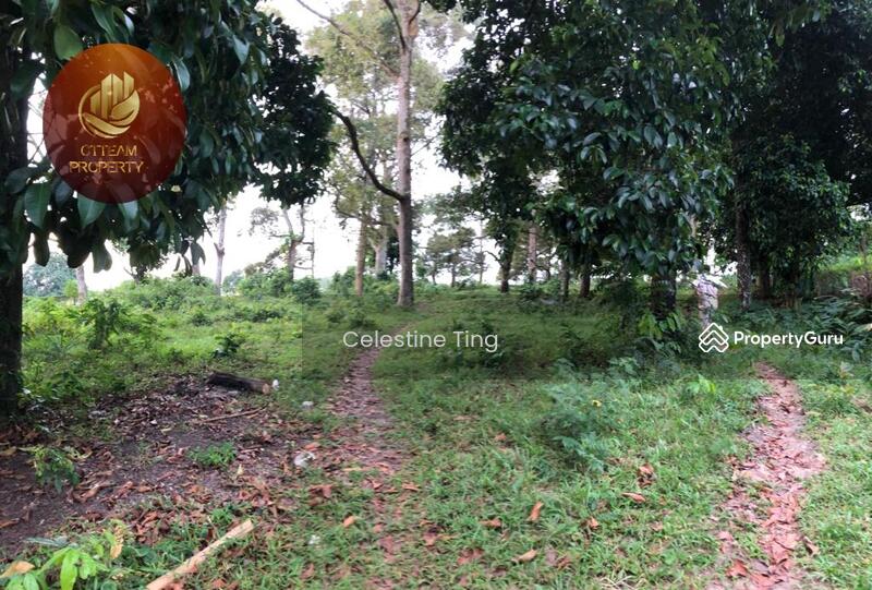 [Prime Location] Agriculture land at Mantin Town Centre, Mantin, Negeri