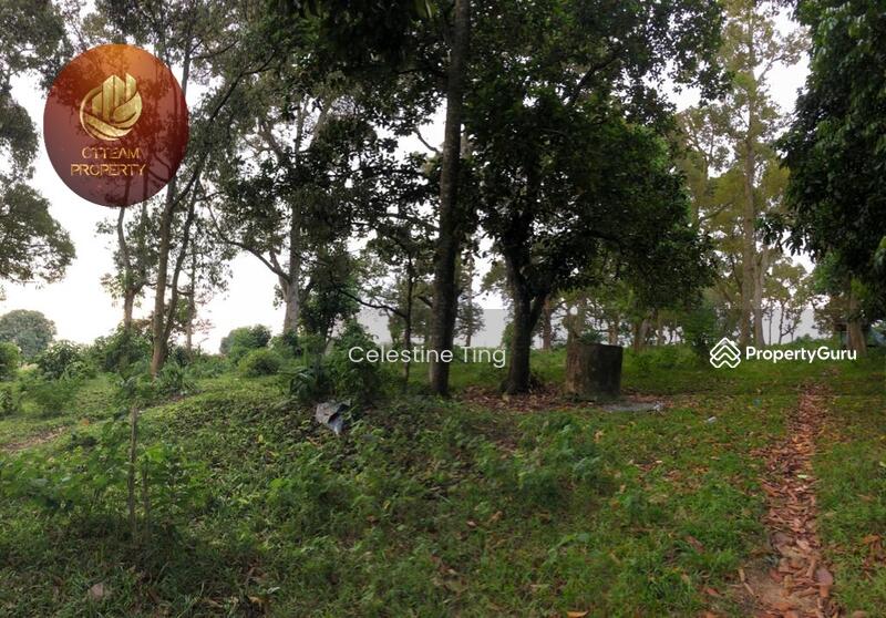 [Prime Location] Agriculture land at Mantin Town Centre, Mantin, Negeri