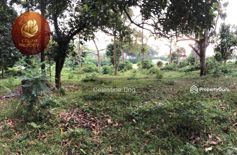 [Prime Location] Agriculture land at Mantin Town Centre, Mantin, Negeri