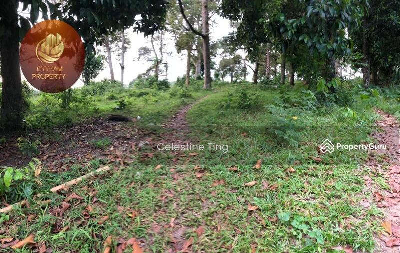 [Prime Location] Agriculture land at Mantin Town Centre, Mantin, Negeri