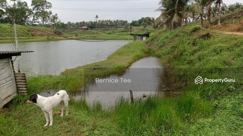 Ban Foo Ulu Tiram Johor untuk Untuk Dijual - RM 12,035,628, Mac 2026 - PropertyGuru.com.my
