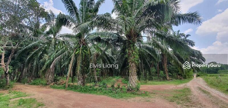 For Sale - Agriculture land at Sungai Petani