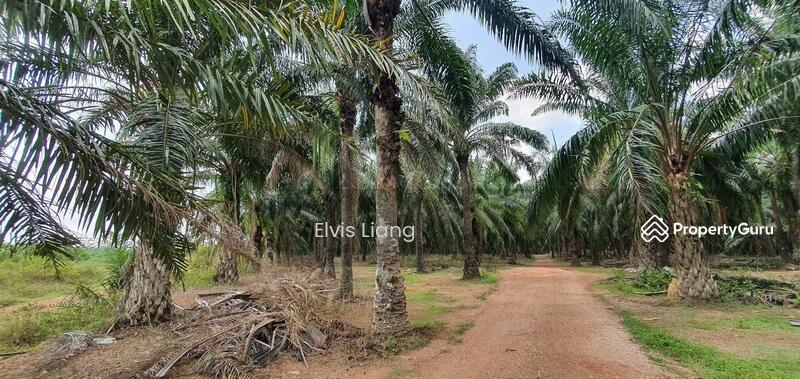 For Sale - Agriculture land at Sungai Petani