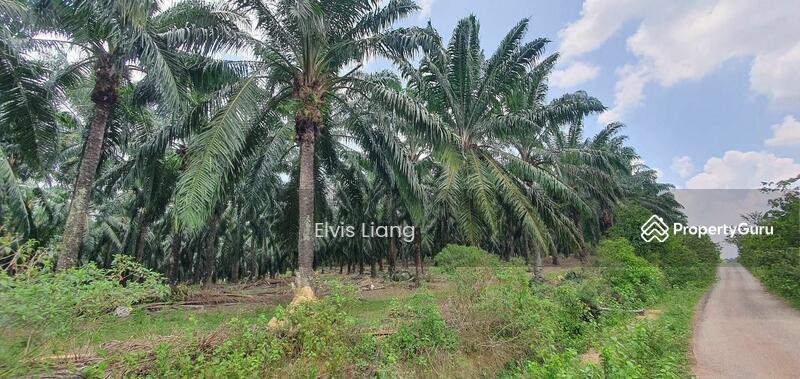 For Sale - Agriculture land at Sungai Petani