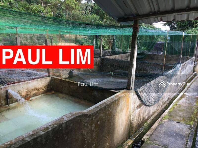 LAND SALE AT BALIK PULAU NEAR KASAN HILL 18.531 ACRE 400 ++ DURIAN TREE 1 HOUSE AND 1 BIRDHOUSE untuk Untuk Dijual - RM 17,750,000, Mac 2026 - PropertyGuru.com.my
