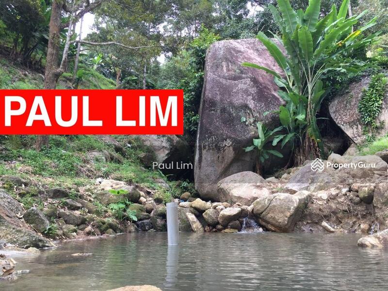 LAND SALE AT BALIK PULAU NEAR KASAN HILL 18.531 ACRE 400 ++ DURIAN TREE 1 HOUSE AND 1 BIRDHOUSE untuk Untuk Dijual - RM 17,750,000, Mac 2026 - PropertyGuru.com.my