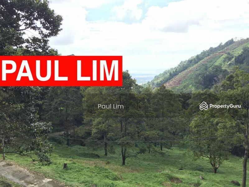 LAND SALE AT BALIK PULAU NEAR KASAN HILL 18.531 ACRE 400 ++ DURIAN TREE 1 HOUSE AND 1 BIRDHOUSE untuk Untuk Dijual - RM 17,750,000, Mac 2026 - PropertyGuru.com.my