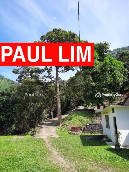 LAND SALE AT BALIK PULAU NEAR KASAN HILL 18.531 ACRE 400 ++ DURIAN TREE 1 HOUSE AND 1 BIRDHOUSE untuk Untuk Dijual - RM 17,750,000, Mac 2026 - PropertyGuru.com.my