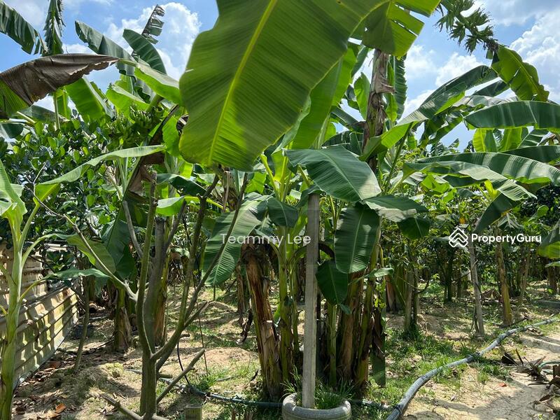 For Sale - Seremban 2.58 acres agricultural land for sale