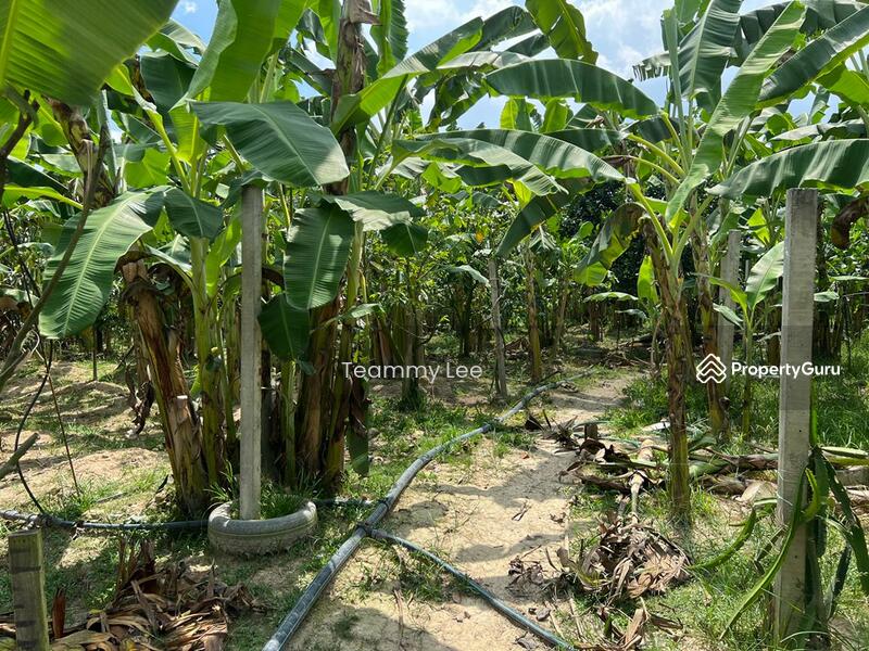 For Sale - Seremban 2.58 acres agricultural land for sale