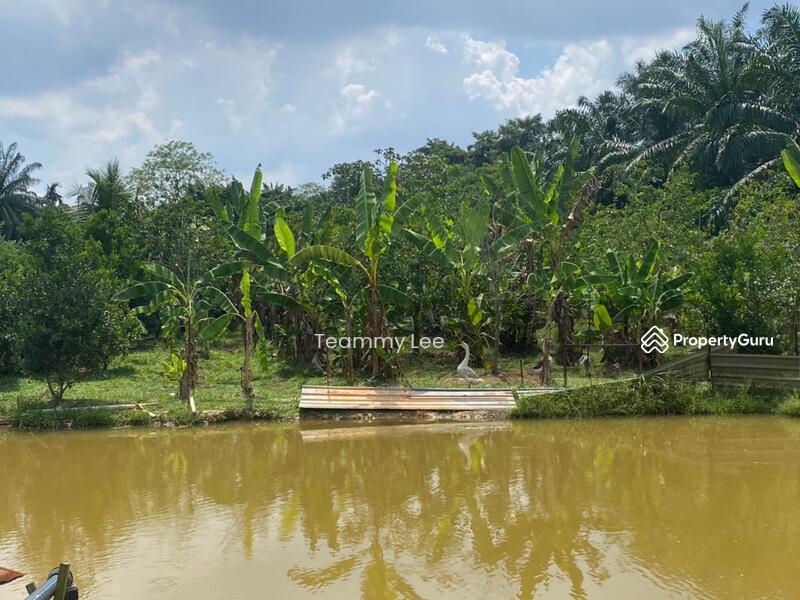 For Sale - Seremban 2.58 acres agricultural land for sale