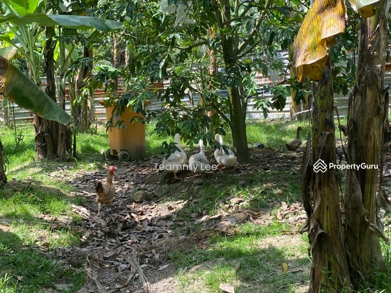 For Sale - Seremban 2.58 acres agricultural land for sale