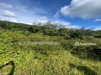 For Sale - Tanah pertanian geran individu Mukim Selemak Rembau