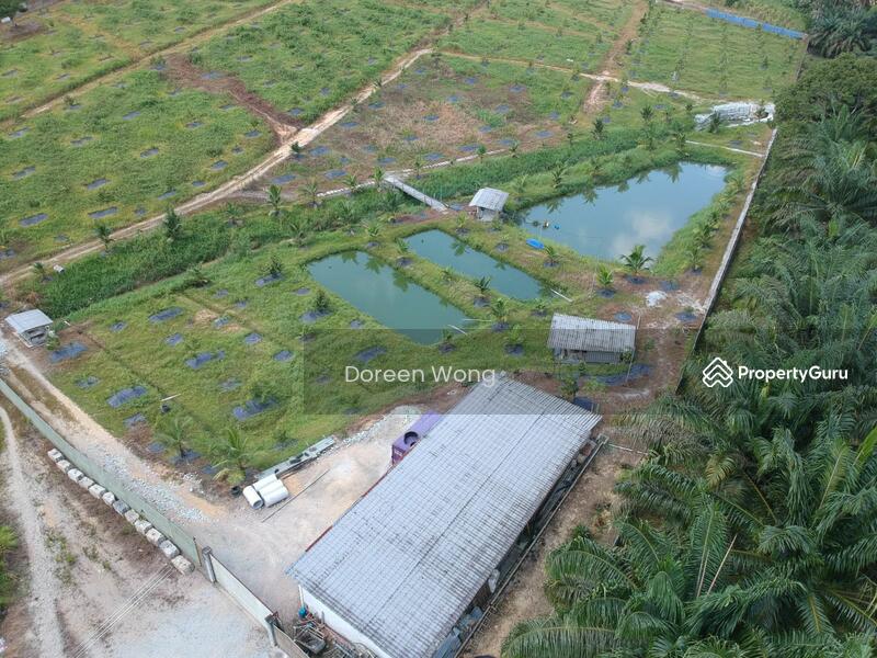 Ulu tiram Durian Farm land for sales, Ulu Tiram, Johor Bahru, Johor, , , Agricultural Land For