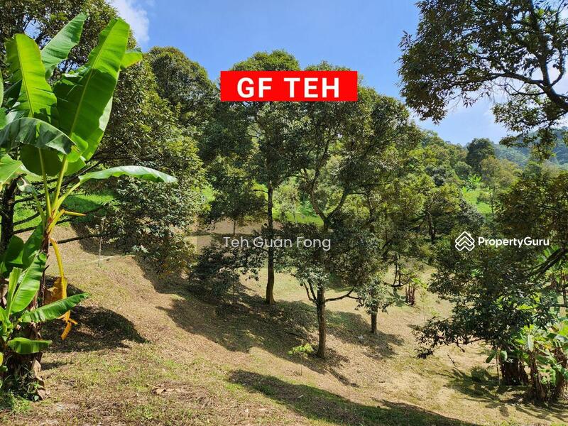 Agriculture land at Kulim, Junjung, Kulim, Kedah, , , Agricultural Land