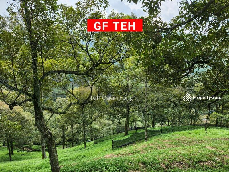 Agriculture land at Kulim, Junjung, Kulim, Kedah, , , Agricultural Land