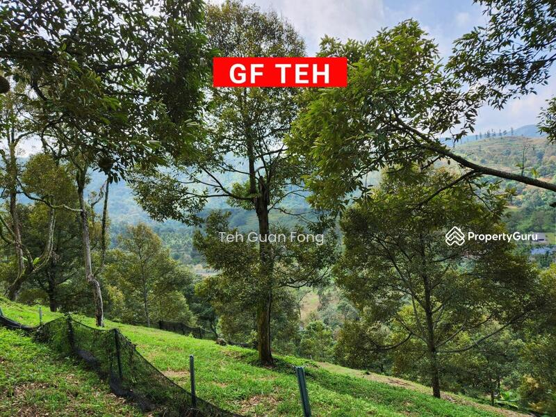 Agriculture land at Kulim, Junjung, Kulim, Kedah, , , Agricultural Land