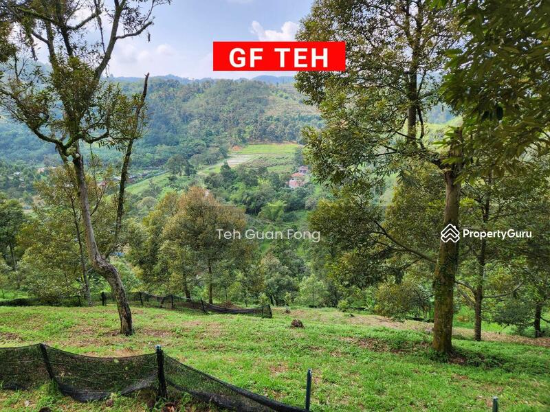 Agriculture land at Kulim, Junjung, Kulim, Kedah, , , Agricultural Land