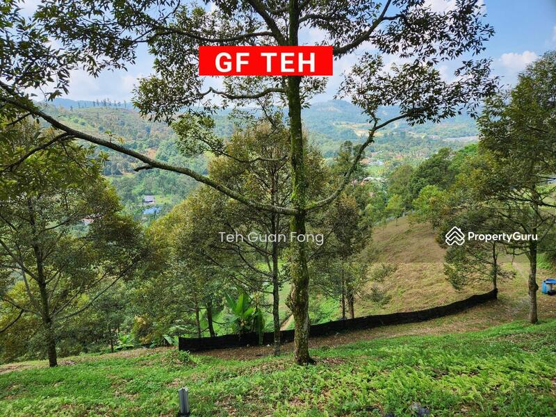 Agriculture land at Kulim, Junjung, Kulim, Kedah, , , Agricultural Land