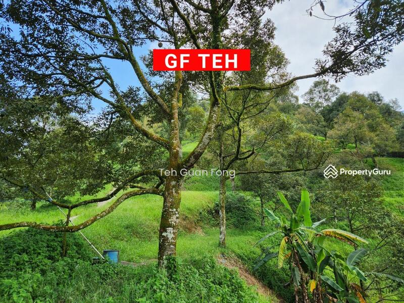 Agriculture land at Kulim, Junjung, Kulim, Kedah, , , Agricultural Land