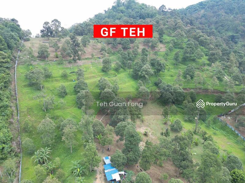 Agriculture land at Kulim, Junjung, Kulim, Kedah, , , Agricultural Land