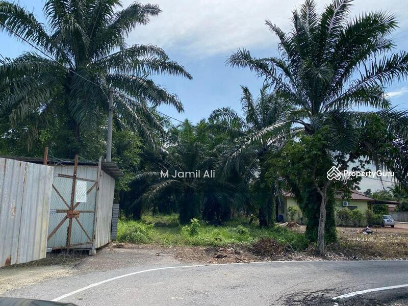Agricultural Land for Sale in Muar (Johor) - M Jamil Ali - PropertyGuru.com.my