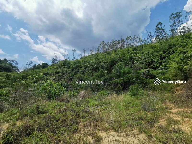 Agricultural Land for Sale in Segari (Lumut) - Vincent Tee - PropertyGuru.com.my